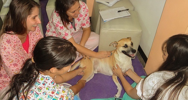 Curso de Fisioterapia Veterinaria